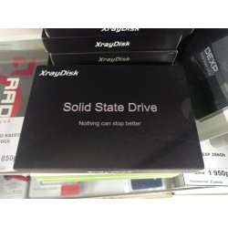 SSD XrayDisk 256Gb